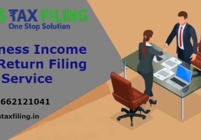 Business-Income-Tax-Return-Filing-Service-6