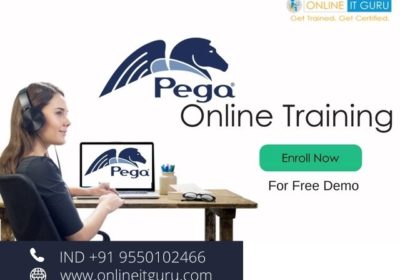 Pega-Testing-Training-1