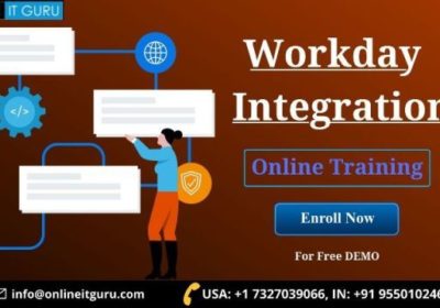 Workday Integration Online Training | Course