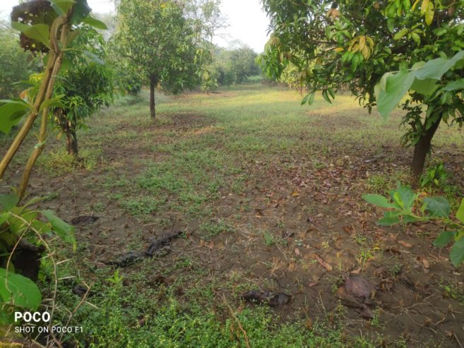 Agriculture Farm Land For Sale in Dhrampur Road, Vankal