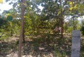 Periyanaickanpalyam Farm Land for Sale