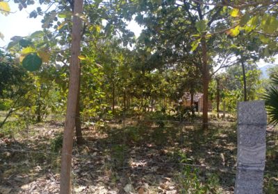 Periyanaickanpalyam Farm Land for Sale