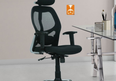 Eleganc Ergonomic Office Chair