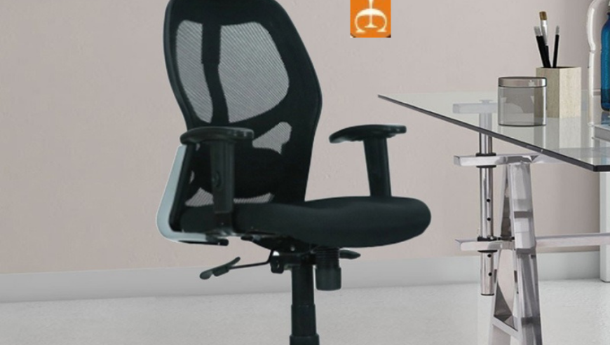 Eleganc Ergonomic Office Chair