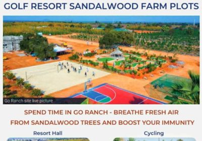 DTCP APPROVED PLOTS With Sandalwood Plantation