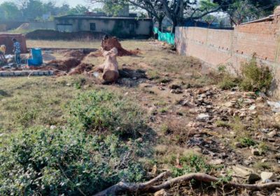 General Land For Sale in Hatia Tipudana Ring Road, Ranchi