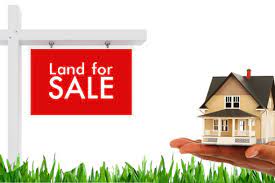 Land For Sale in Bethelnagar, Miraj