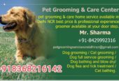 Pet Grooming and Care Center – Gurgaon