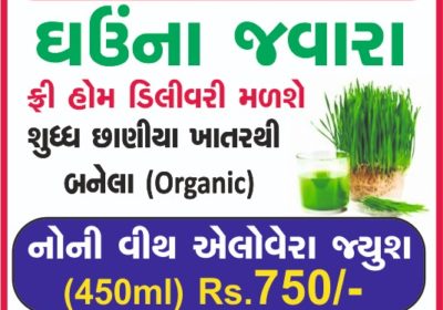 Wheatgrass Home Delivery in Ahmedabad
