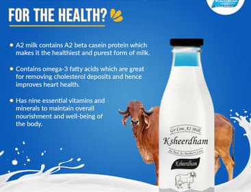 a2-milk-benefits