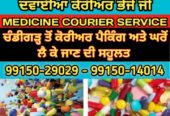 Medicine Courier Panchkula Zirakpur to Germany, France, Netherland, Switzerland