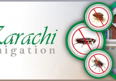 Karachi Fumigation – Cockroach Control Service