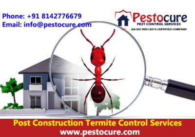 Best Termite Control Services Hyderabad