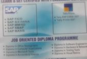 Individual Career Courses and Diploma Programme