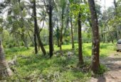 Land For Sale in Emakulam City