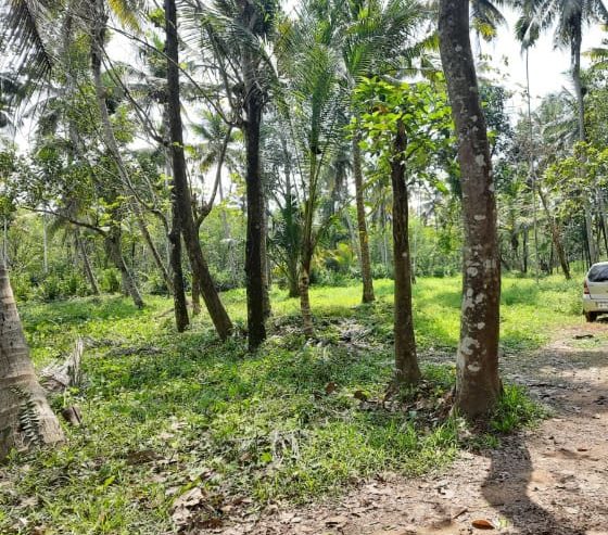 Land For Sale in Emakulam City
