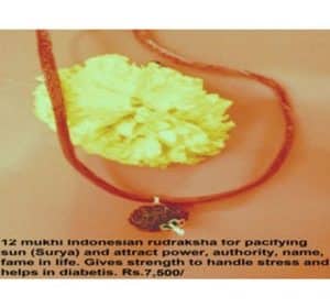 Things To Remember While You Buy Rudraksha Online