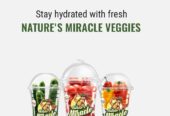 Buy Hydroponics Veggies and Fruits Products in India