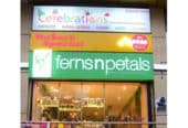 Best Flower Shop in Guwahati – Ferns N Petals