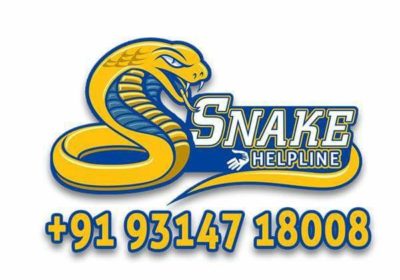 Snake-Helpline-Jodhpur