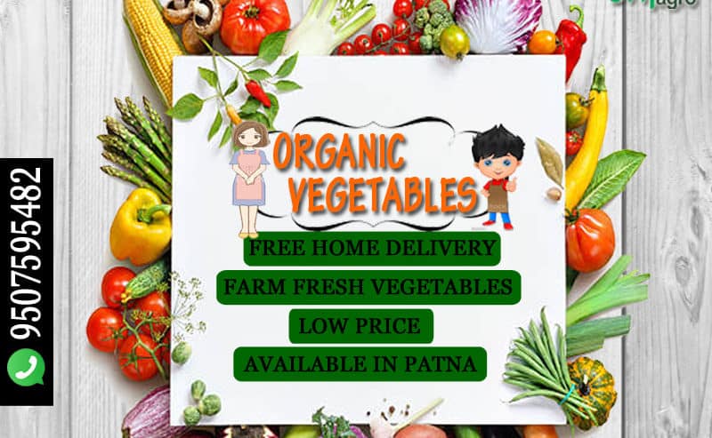 Farm Fresh Organic Vegetables in Patna By Brij Agro