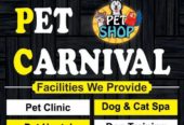 Best Pet Shop in Jodhpur