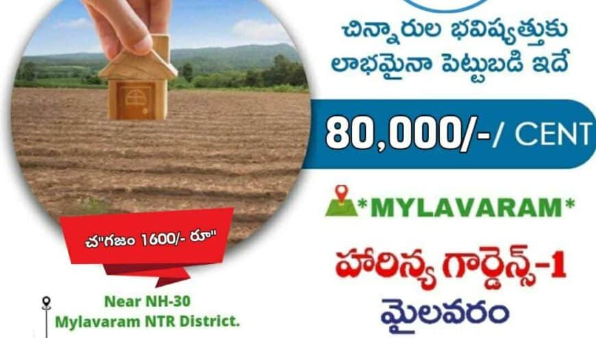11 Cents Red Sandalwood Farm in Mylavaram Unit Rs. 8,80,000 /-