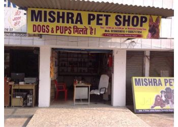 Pet Shops in Kanpur – Mishra Pet Shop