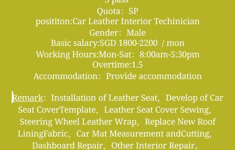 Require Car Leather Interior Technician in Arumbakkam, Chennai