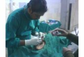 Best Veterinary Hospital in Jhansi – Shreya Dog Clinic and Surgical Center