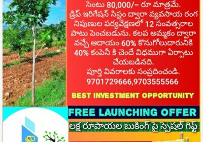 Red Sandalwood Farm For Sale in Mylavaram – Farm House Instantly Along With Income on Plants
