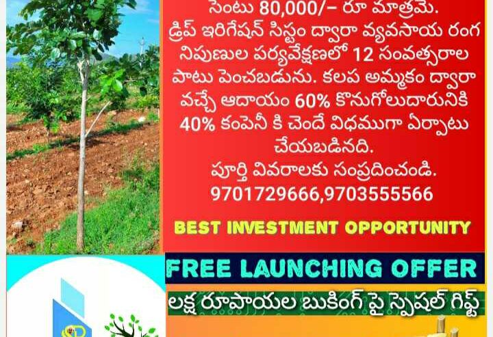 Red Sandalwood Farm For Sale in Mylavaram – Farm House Instantly Along With Income on Plants
