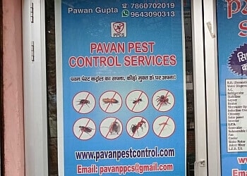 Pest Control Service in Kanpur – PAVAN PEST CONTROL SERVICES