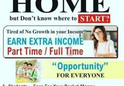Want To Earn Money From Online Using Social Media