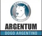 Best Pet Breeder Shop in Argentina – Argentum Dogos