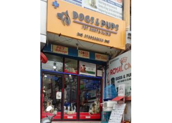Pet Shops in Lucknow – Dogs & Pups Pet Store & Clinic