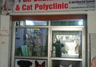 Dr.Chaturvedis-DogCat-Polyclinic