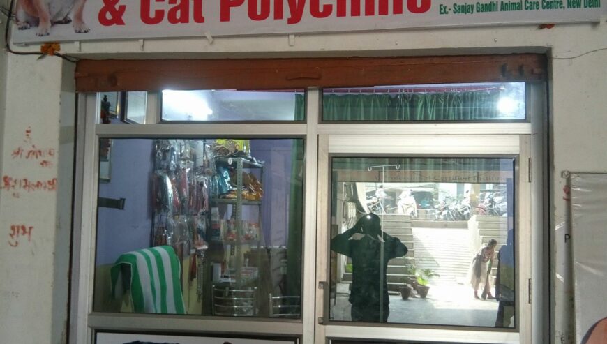 Best Veterinary Clinic in Agra | Dr. Chaturvedi’s Dog & Cat Polyclinic
