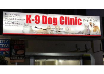 Best Veterinary Hospital in Jalandhar - K-9 DOG CLINIC - ADPOSTMAN