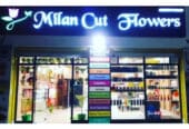 Flower Shops in Bikaner – MILAN CUT FLOWER