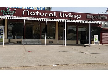 Modern and Authentic Furniture Store in Jodhpur – Natural Living Jodhpur