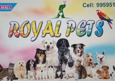 Royal-pets-naveen