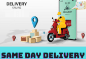 Same Day Delivery Service in Bangalore | Pikndel’s