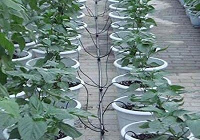Self Watering System For Plantation Startup in Bihar