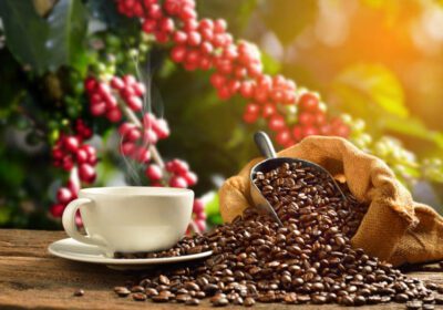 Buy Pure Himalayan Coffee & Coffee Beans | Cosmic Beans
