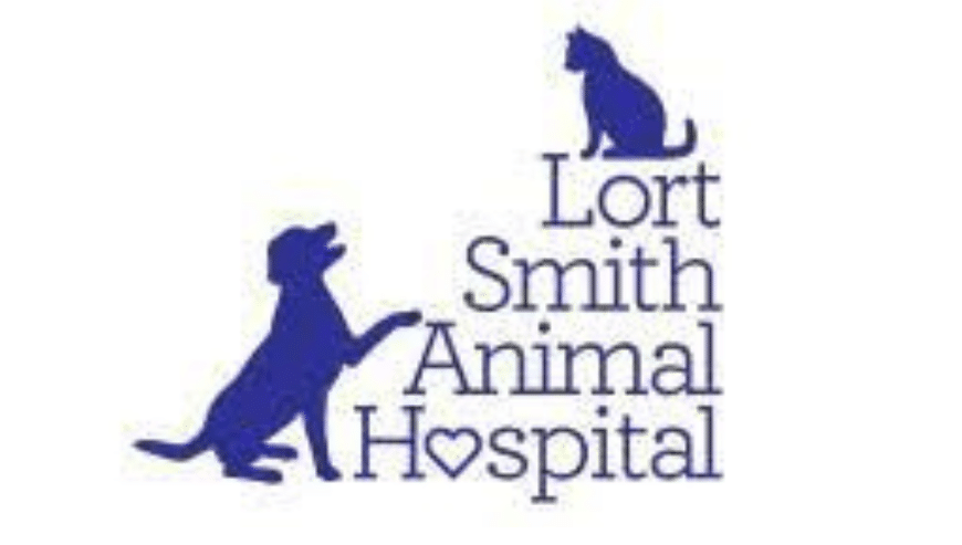 Best Animal Health Care & Adopation Centre in Melbourne, VIC | LORT SMITH