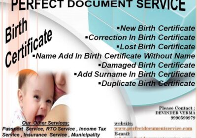 Online Apply For Birth Certificate in Delhi | Perfect Document Service