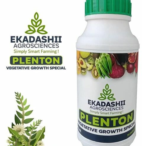 Best Agriculture Consulting Services in India | Ekadashii AgroSciences