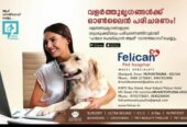MultiSpeciality Pet Hospital in Kochi | FELICAN