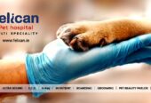 MultiSpeciality Pet Hospital in Kochi | FELICAN